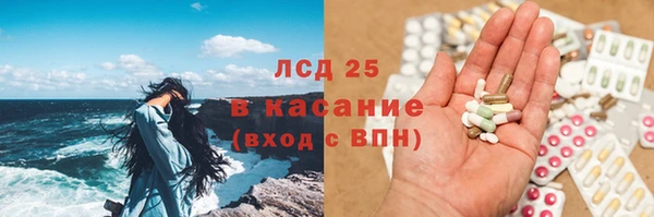 ГАЛЛЮЦИНОГЕННЫЕ ГРИБЫ Абаза