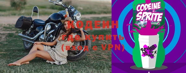 ГАЛЛЮЦИНОГЕННЫЕ ГРИБЫ Абаза