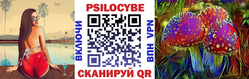 купить закладку  гидра сайт  Псилоцибиновые грибы мицелий  Нариманов 
